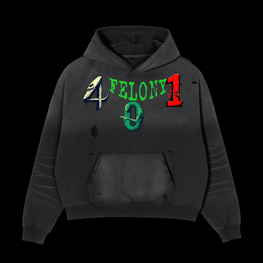 401 FELONY